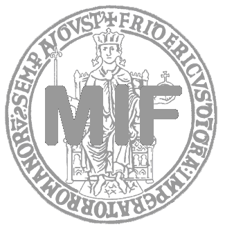 MIF